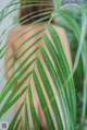 A woman standing in front of a palm tree.