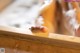 A close up of a small animal on a window sill.